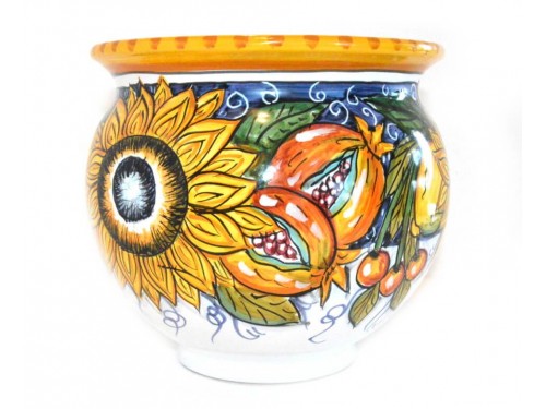 Plant Pot Fruits Sunflower