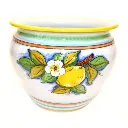 plant-pot-lemon (3).webp